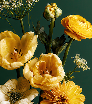 yellow flowers