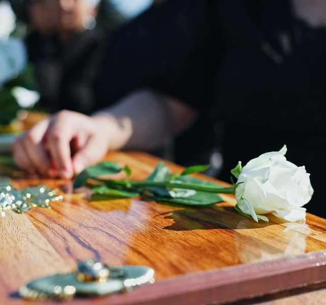 white rose on top of a coffin